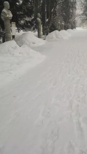 ������� � ����� ������, ����� 8 ������