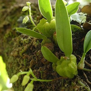 �� ����������� ������� ������� ���������� �������, ������� �� ����