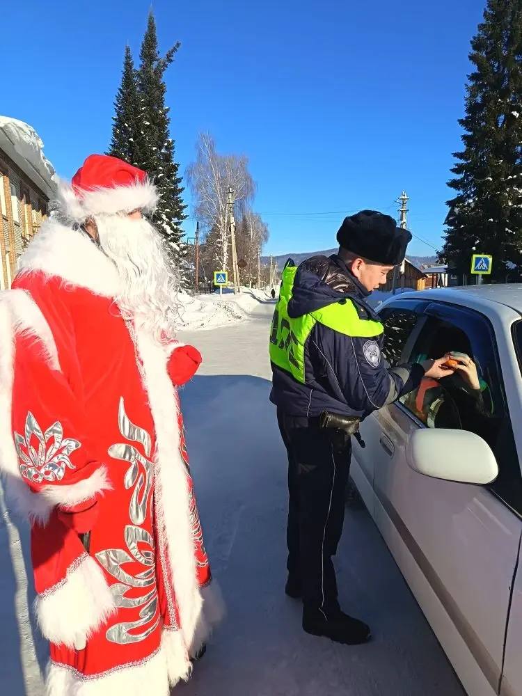 Полицейский Дед Мороз в Турочакском районе: мандарины вместо штрафов Полицейский Дед Мороз в Турочакском районе: мандарины вместо штрафов