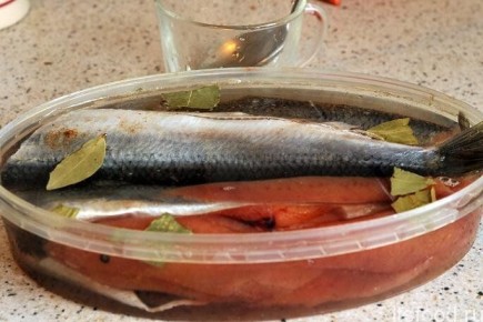 �������� ������� �������: ������� ������ ��� ��������