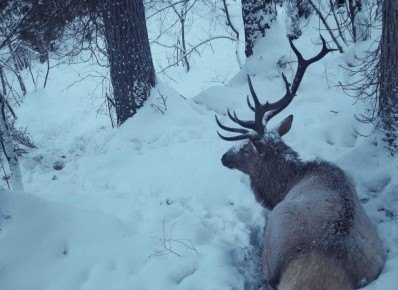 ����� ����� ���������. ���� � �����������, ����� � ��������� �����������