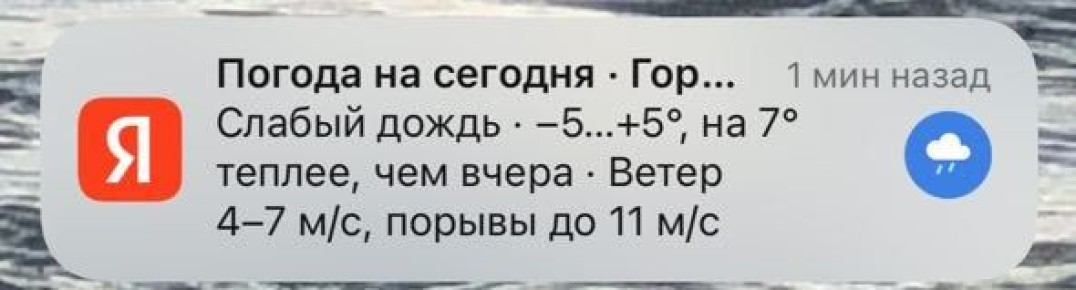 Яндекс так вообще сегодня дождик обещает в Горно-Алтайске