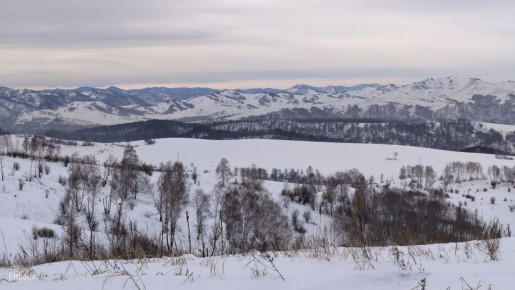 #поэтическоеутро. *** Спасибо, январь, что поскинувши цепи