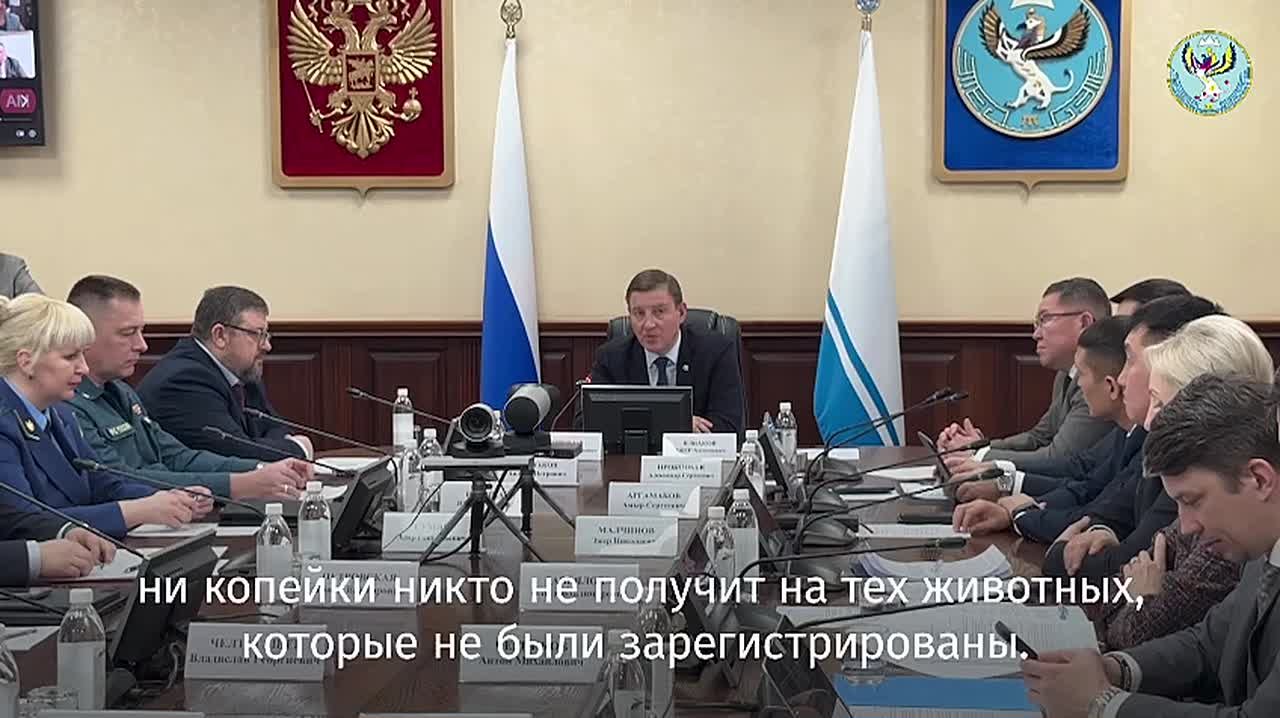 Важное уточнение по выплатам за павший скот от главы Республики Алтай Андрея Турчака: