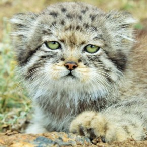 � ������ �����! ���! ����� � ������������ � ��������