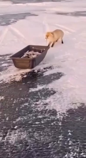 �������� ���, ��� ������!. ���� ������ ���� �������������� ������ ���� �����, �� ��� ����������� �� ����� ������ � ������!