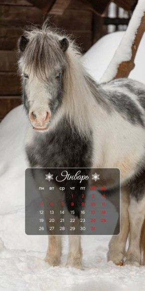 ������ ����. ����� ��������� ����� ��� �������� �� ������ � ���������