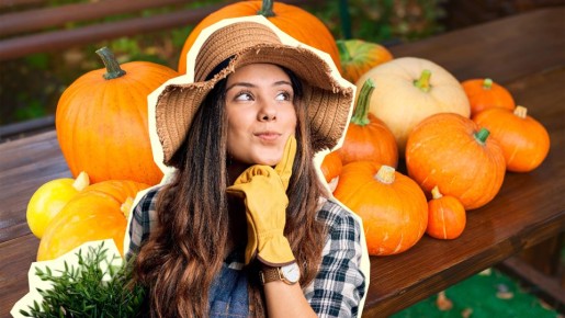 ��� ����� ����� ������� �������: ��������� �������� � � ��������� �������