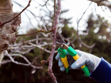 ��� ���������� ������� ������ ����� �������� �� ��������: ������ ���������