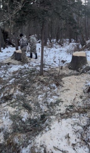 ����� ������ � ����� ���������� �����: ������ 5 ����� � �������� ������� ���������