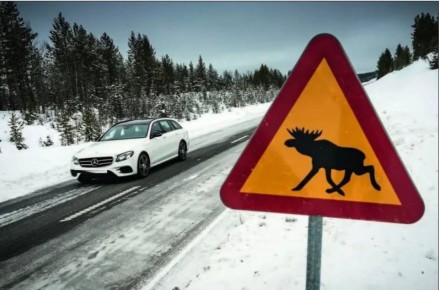 ����� �������� �� ������: ��� ������������� ������������?