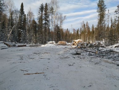 ���� ���������� ��������: ��� ���������� ��������� ���������� �� ���������� ���������