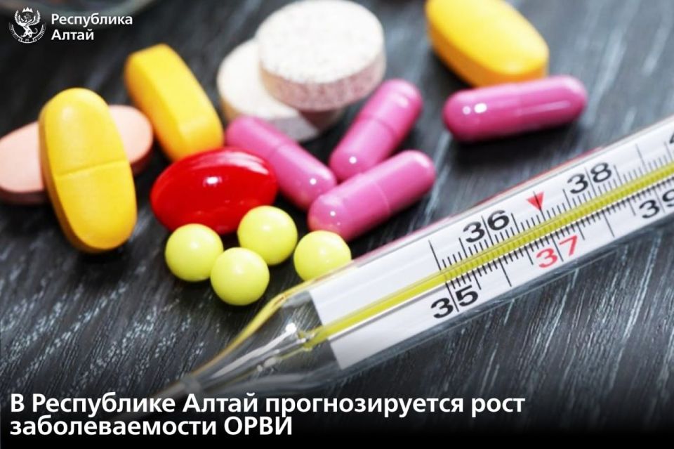 �� ������ ������ 2026 ���� 156 ������� ������� ���������� � �������� � ���������� ����