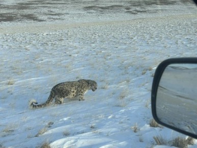 ��������� ���� ����� � ������� �������� (�� ���-��������� ������ ���������� �����) ������� ������ ��������� �������� �����, ������� ��� ����� ������