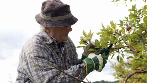 ��� ������� �� ������� ������ ����� �� ��������: ����� �������� ��� ������