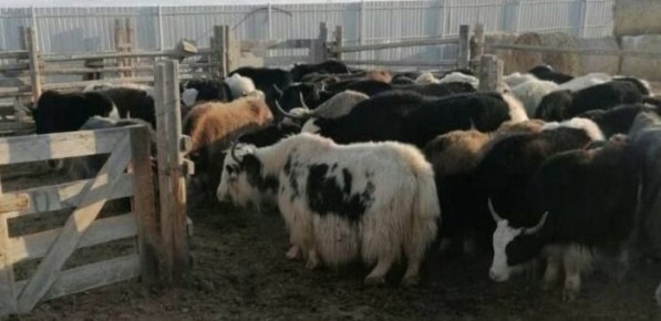 ������������ ������������ ������ ������������ �������� �� ����� ������� ������������� �� ���������� ������