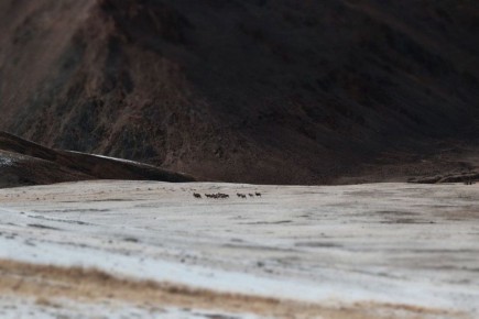 ���� ������ ��������� ������ ������� ������ � �������������� ���� ������ � ��������