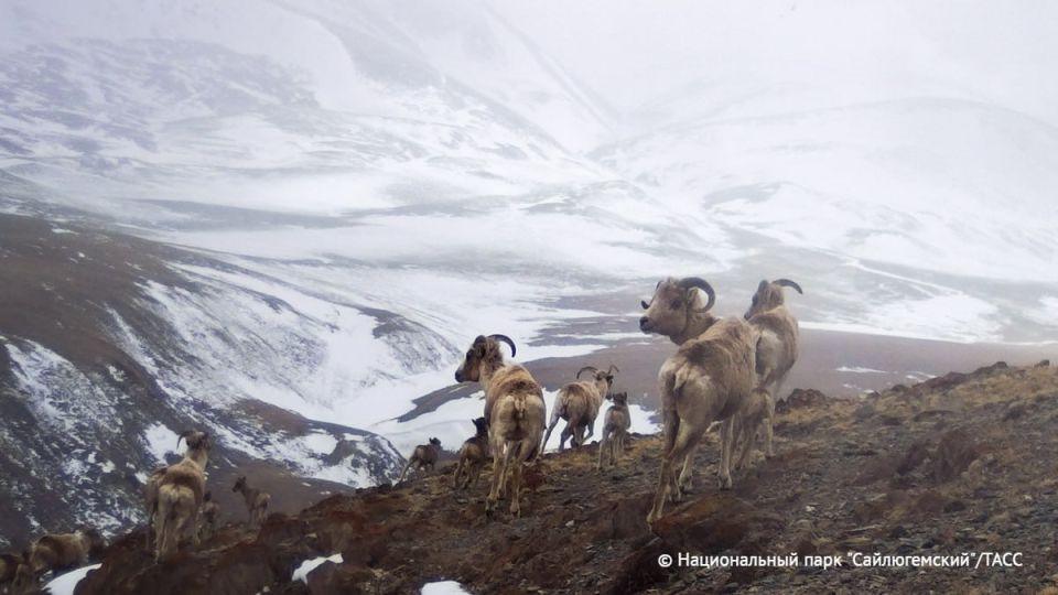 ���������� ����� �� ��������� � ������ �������� ������� �� ����� � ����� ����������� �������� ���� ��� ������� ��������� ����� ������������� �������� ����� �������