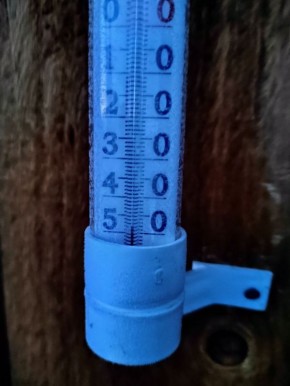 � � ������� ������� ��� ���