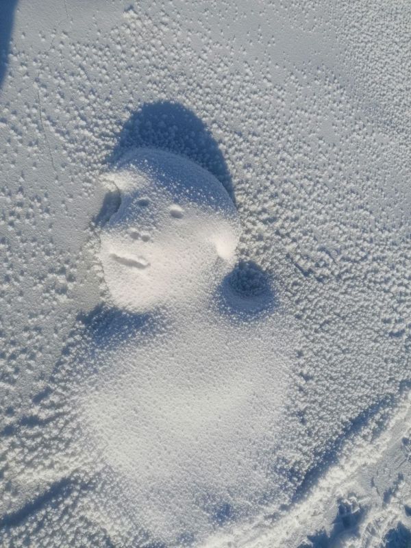 ��� ��� �������� �������� � �����, ����� �� ������� �� ����������