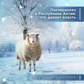 � ���������� ����� ������� � ���������������� ������������ � ������� ������������� �����������