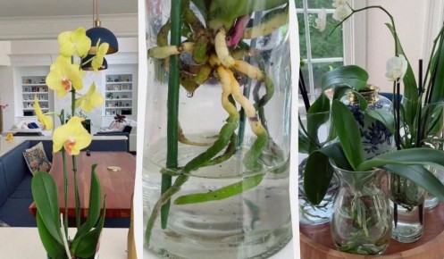 ��� ������� � ���� ������� ��� ��������� ���� �� ����������