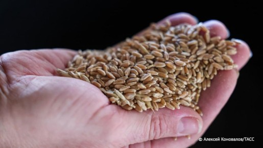 ��������� ������ ������� ����� ������ ������������ ����� � �������������� ��������� ������� ������� (���������), ������� �� �������, � ������� ����������� ����