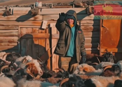 ������������ ���-�������� �����