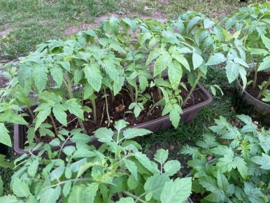 ������ ��������� ��� ������� ������� � 2026 ����: �������� ������ ���