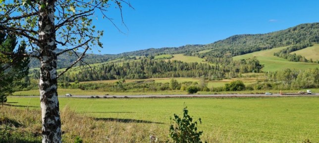 ��� ����������� �� ���������� 3820 �� � 2026 ���� � ���������� �����