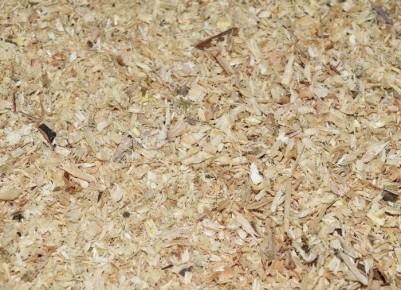 ������ � �������: �� � ������ �� �������������