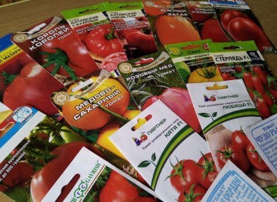 ���������� �����: ���� � ��������� ���������� ������