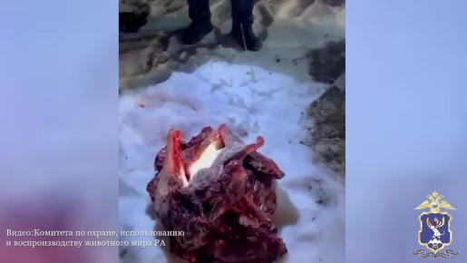 ������ ������������ ������ ���� ���������� ���������� ���� �� ���������� ����� �� ���� ��������� ������