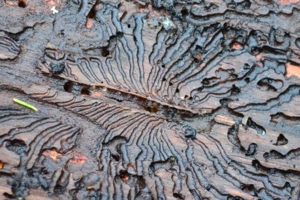 ��������� �������� ��� ��������: ��� ����� �����