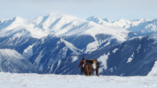 ����. �����. ����, ���� � ���