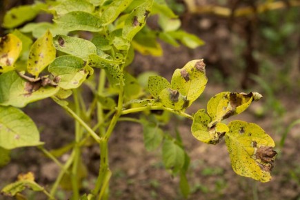 ������ ��������� ����� ��������� � ��� � ���� ������