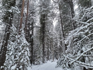 ������ ����� ��� � ����� �� ������ ���������� ��������