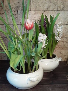 �� �������� ���: ������ �� ������� � ����� �� ����������