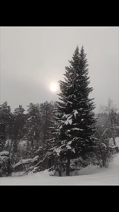 Зимние зарисовки. Кызыльский родник