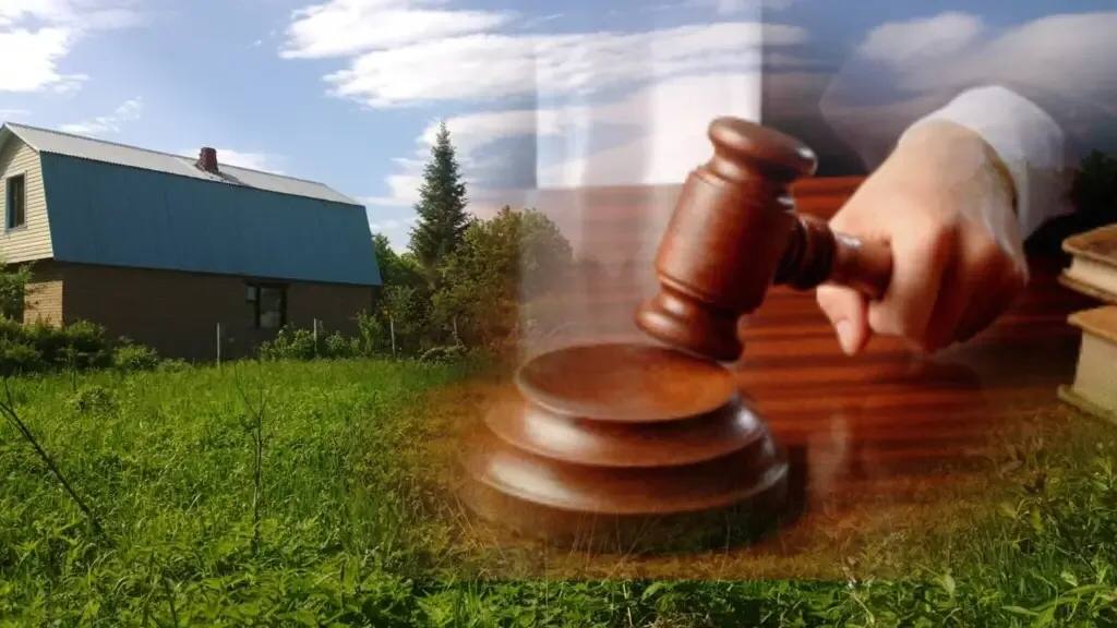 В Майминском районе в собственность муниципалитета возвращен незаконно проданный земельный участок