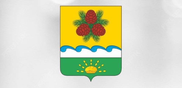 Началась процедура выборов главы Чойского района