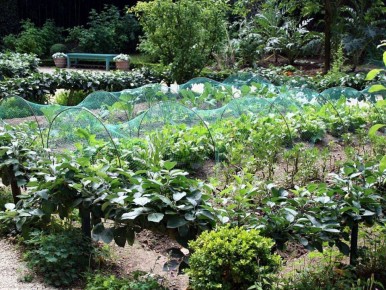 ��� ���������� �� ����: ��� ������ ��� ����� ��� ��������