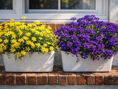 ������ �������: ��� ������� � ������������ �������� ����������� ������ �����