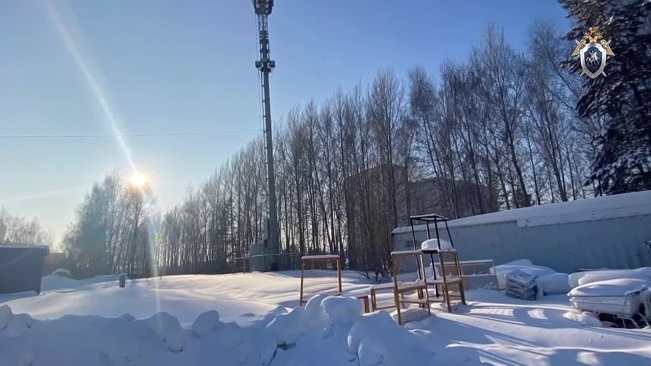 В Алтайском крае двум подросткам предъявлено обвинение в совершении диверсии