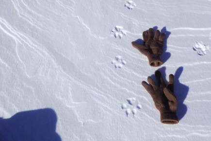 ���-�� �����. ���� �� ����, � ��������� ����� �����