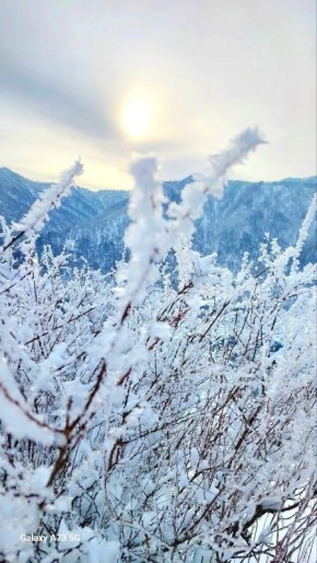 ������������ ������������ �������� ������� ���� ���������� ������������� ����������� ������ � ���� �������� ��������� �������, 24 ������