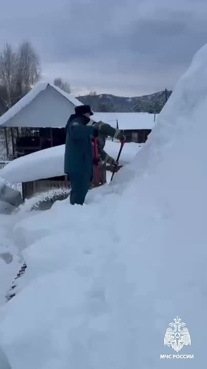 �������� ������� ����� ��������� ���, ������� ������ ������� ���������� ��������� �������-������������ ����� � 6 ���� �������