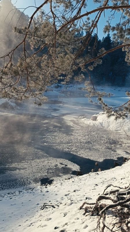 ��������� �������� ������� � ���������� ���������� ���� ���������� ����