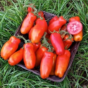 ����� �������� ������: ��������� ������ �� ������ ������ � ������������������ � �������� ������