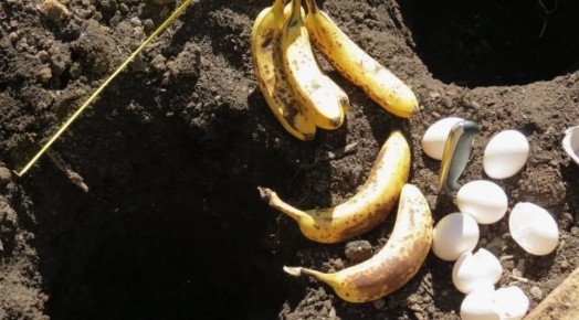 ���� � �����: ��������� ������ �� �������� �������� ��� ������ �����